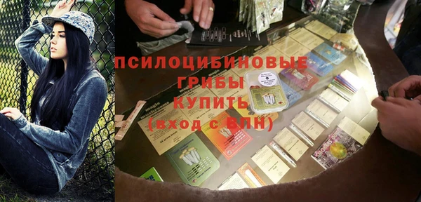 PSILOCYBIN Абдулино
