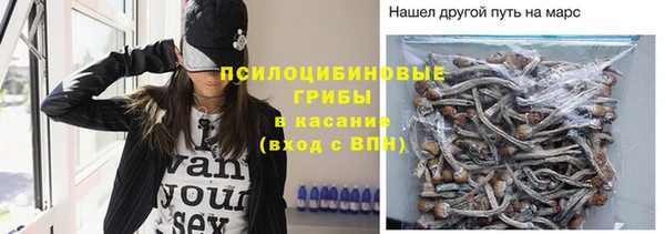 героин Алексин