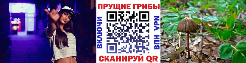 Псилоцибиновые грибы ЛСД  Дмитровск 